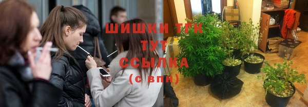 прущие грибы Алексеевка